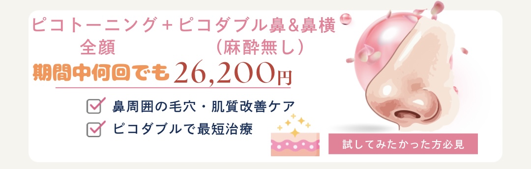 ✦再来　（当院ピコのご経験がある方）ピコトーニング+【麻酔無し】ピコダブル鼻+鼻横セット